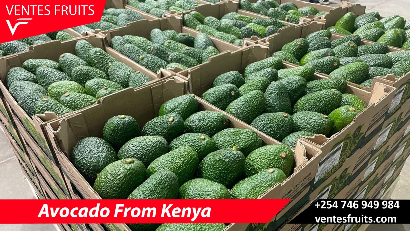 Which are the top 10 key markets where Kenyan grown avocados are ...